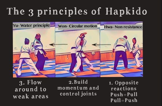hmd academy 3 principles of hapkido